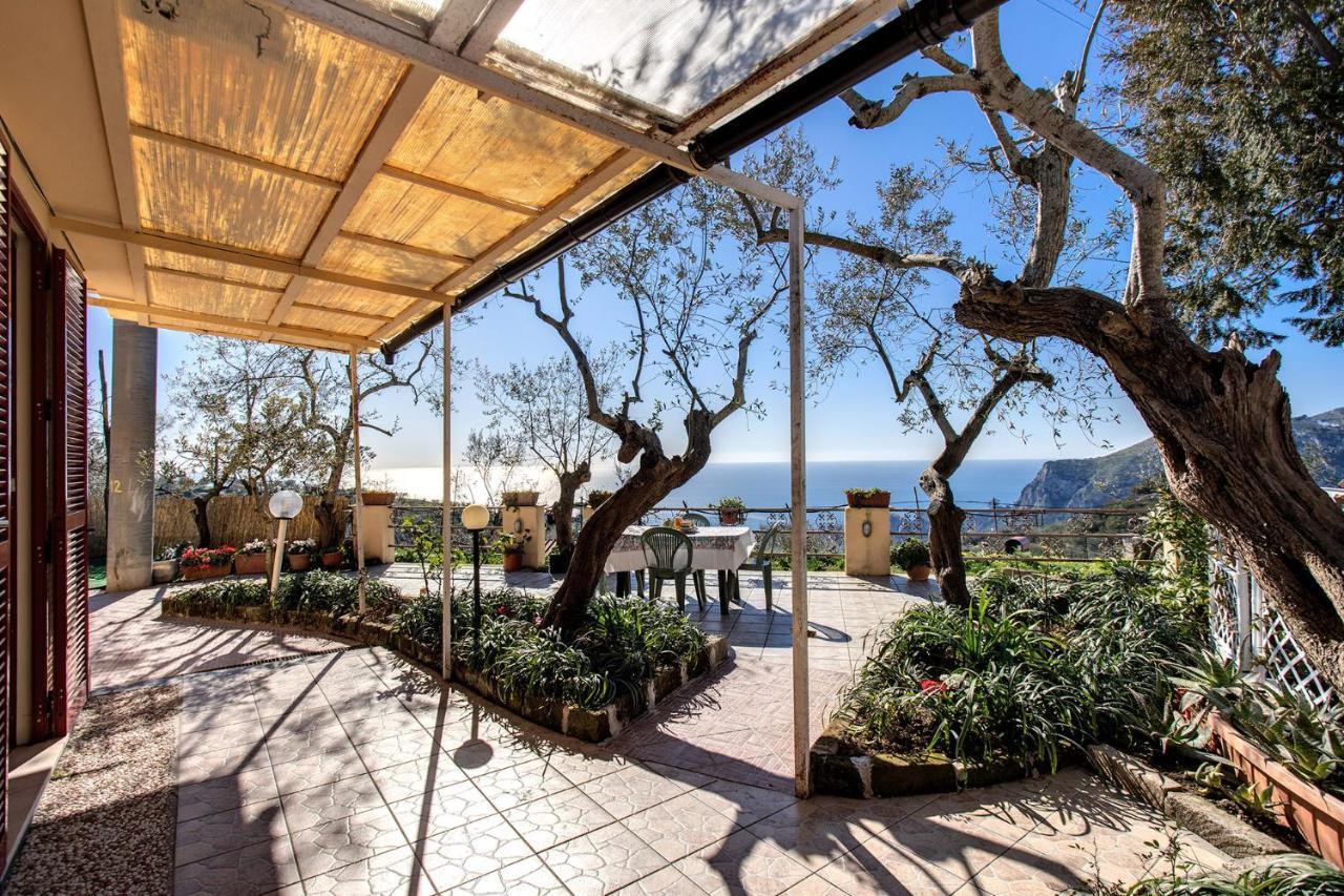 Il Pioppo - Country House Sea View Масса-Лубренсе Экстерьер фото