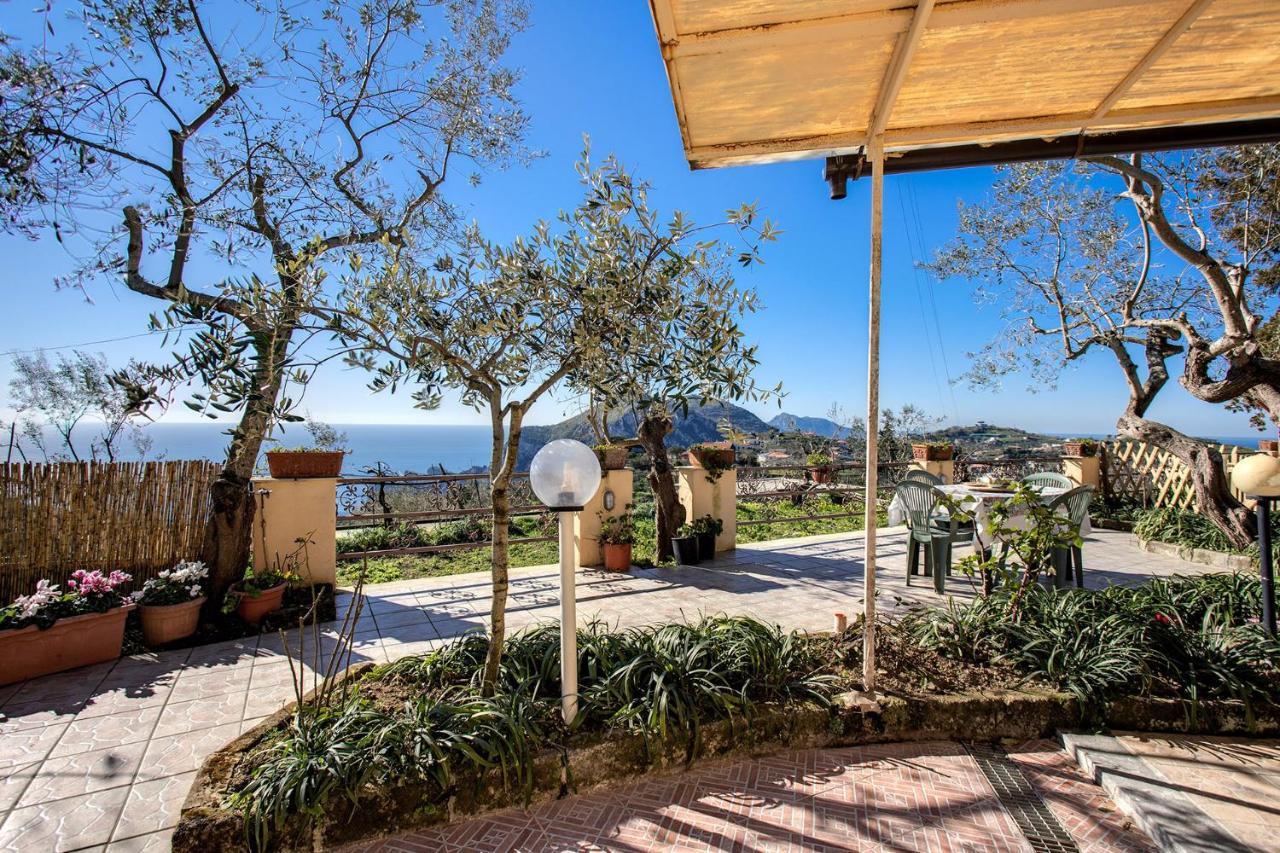 Il Pioppo - Country House Sea View Масса-Лубренсе Экстерьер фото