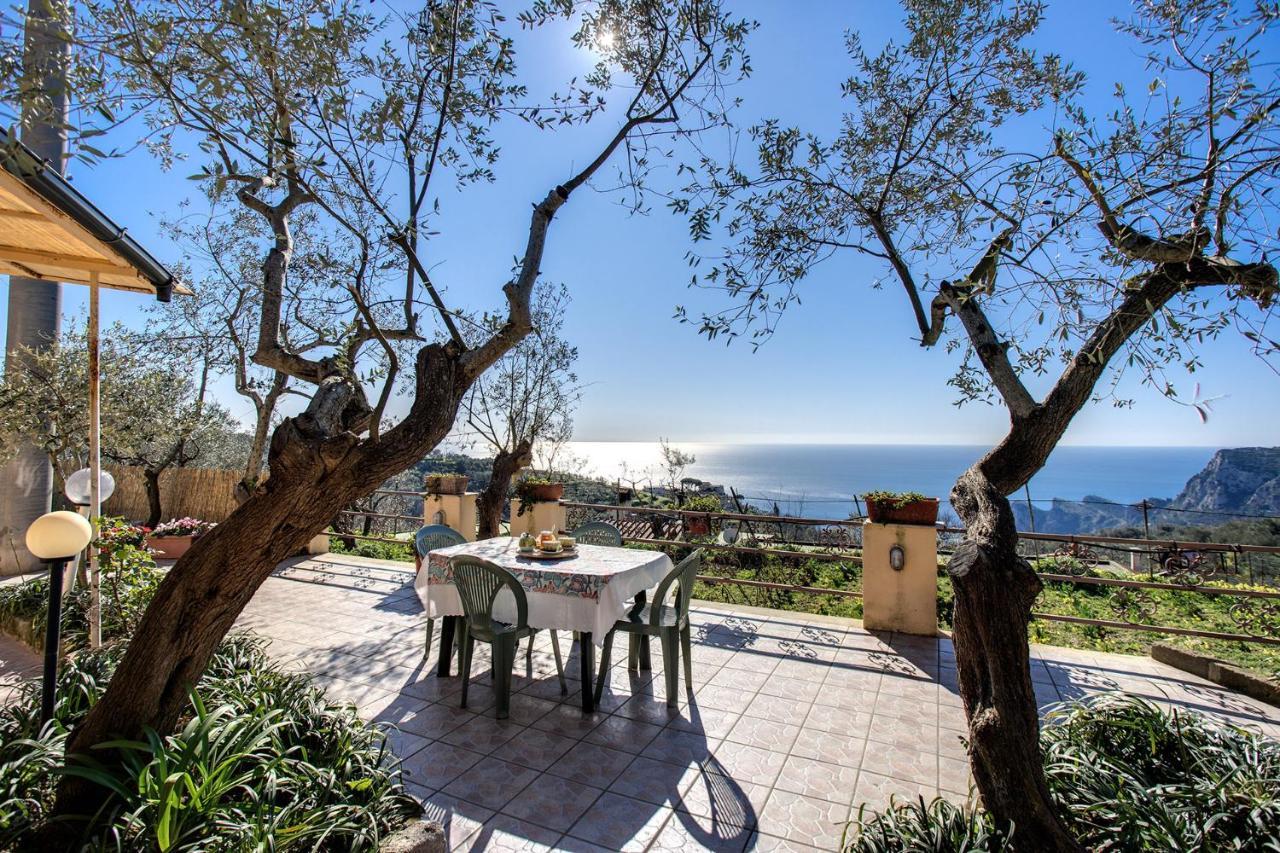 Il Pioppo - Country House Sea View Масса-Лубренсе Экстерьер фото